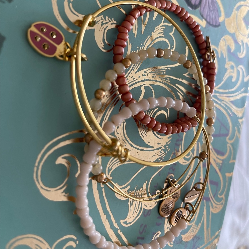 Alex and ani ladybug set